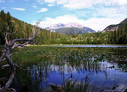 Stones Peak from Cub Lake...