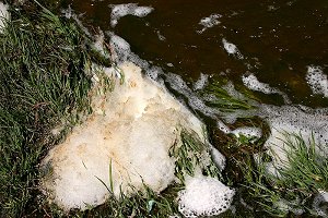 Chemical foam  in National Forest stream on May 12, 2005