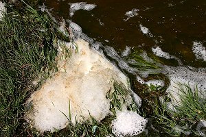 Chemical foam  in National Forest stream on May 12, 2005
