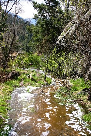 Foam from chemical run-off heading towards North Fork and Big Thompson, a few hundred yards downstream.