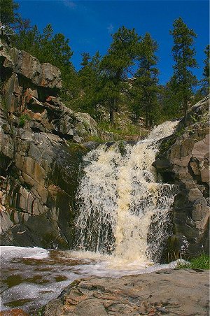 Brown tint and heavy foaming from run-off in stream near the waterfall on FDR 128