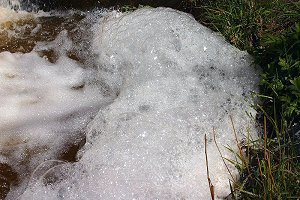 Surfactants in run-off cause lagre bubbles, up to 8" in diameter, to form on the surface