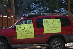Signs on vehicles ask for support