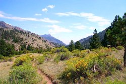 Looking East along Crosier Mountain Trail