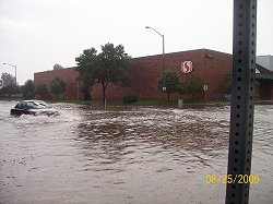 Wilson Avenue near Eisenhower