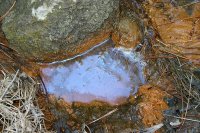Photo taken today of oil and chemicals leeching into National Forest Stream