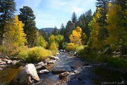 Colors along Big Thompson River last week...