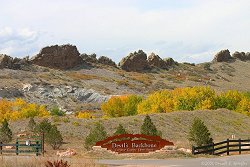 Beautiful Fall Colors along Devil's Backbone on Friday...