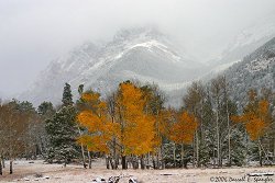 Fall in Rocky Mountain National Park