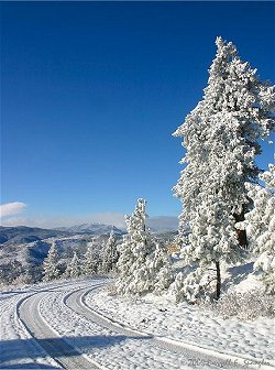 Beautiful scene along FDR 128 in Roosevelt National Forest...