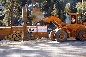CDOT workers use a front-loader to steady the tree