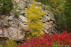 Fall Colors Along CR 41H