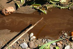 Chemicals steams running through private land