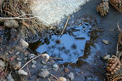 Pool of chemicals on private land two days after application