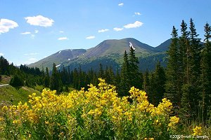 Specimen Mountain