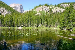 Nymph Lake