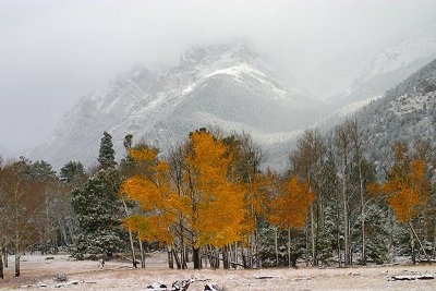 A snowy Chapin Mountain as seen from Endo Valley in Rocky Mountain National Park