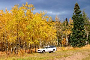 My truck parked by Aspen in Galuchie Meadows