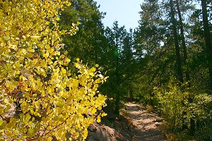 Fall colors along Trail