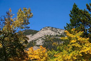 Bighorn Mountain and Aspens
