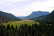 Endo Valley - Rocky Mountain National Park